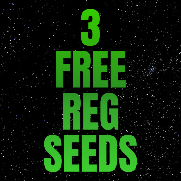 FREE 3pk Reg Seeds - Random
